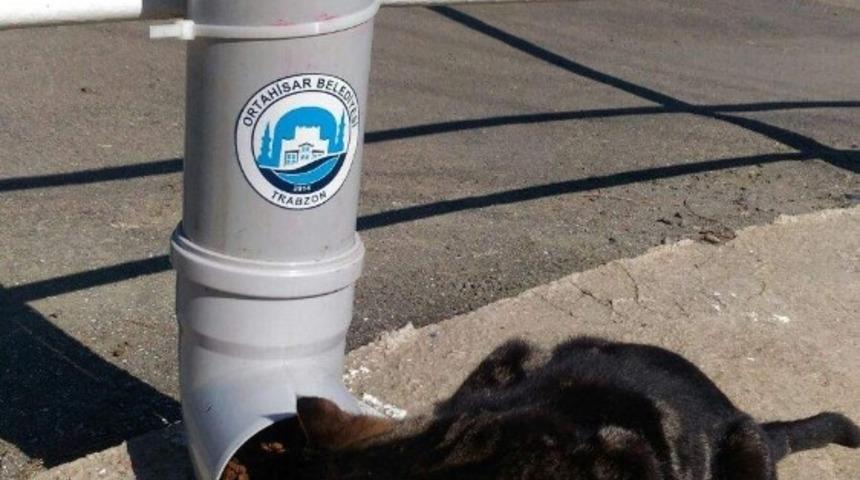 Sokak hayvanları i&ccedil;in suluk ve yemlik