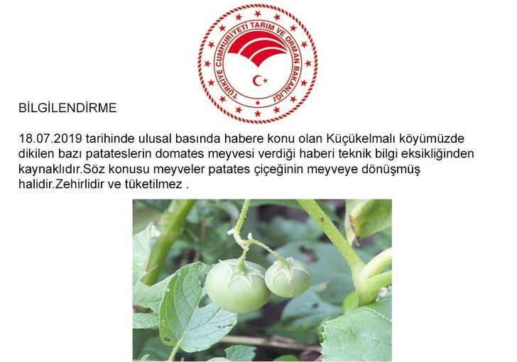 Herkes domates sanmıştı, bakın ne çıktı G2