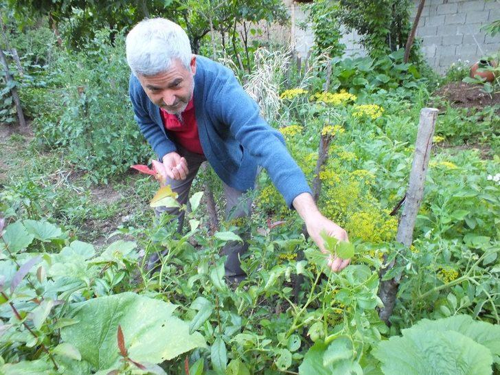 Herkes domates sanmıştı, bakın ne çıktı G5