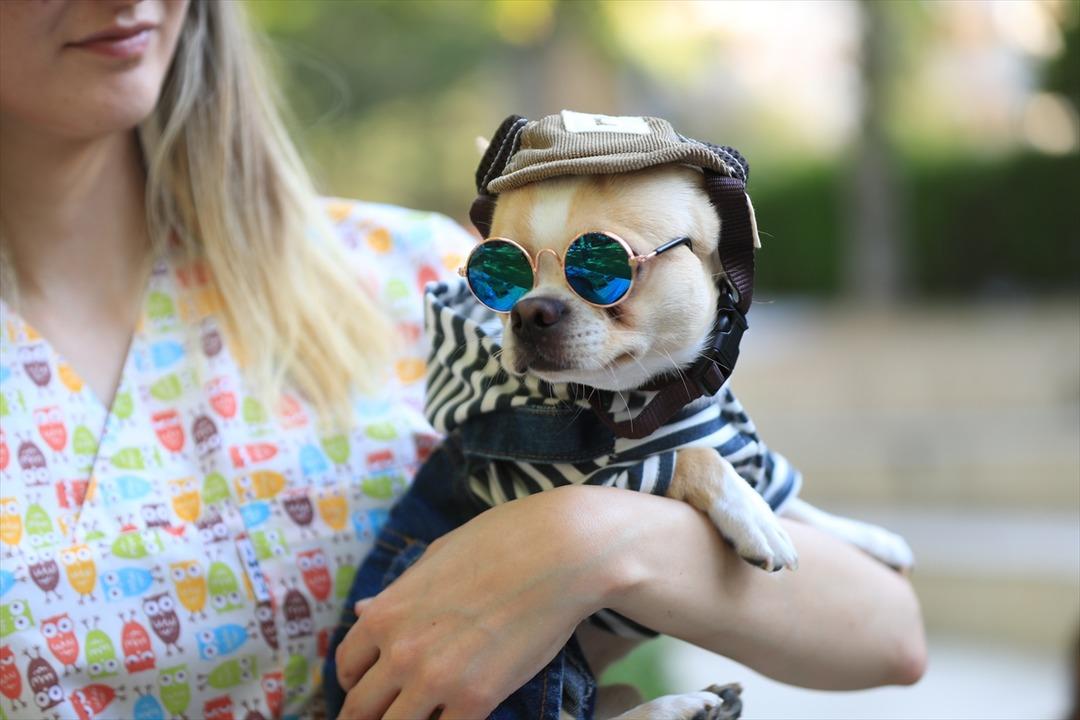 'Pati Festivali'ne yoğun ilgi! İlgin&ccedil; kıyafetlerle yarıştılar