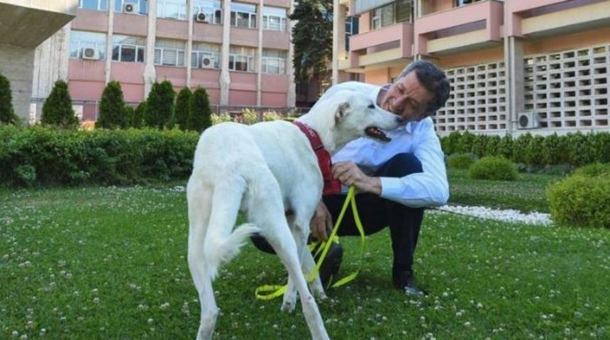 Milli Eğitim Bakanı Ziya Selçuk paylaştı! Okullarda yeni dönem