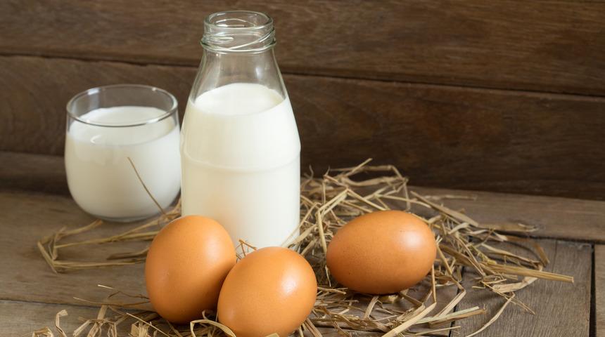 Besin alerjilerine karşı beslenme günlüğü tutun