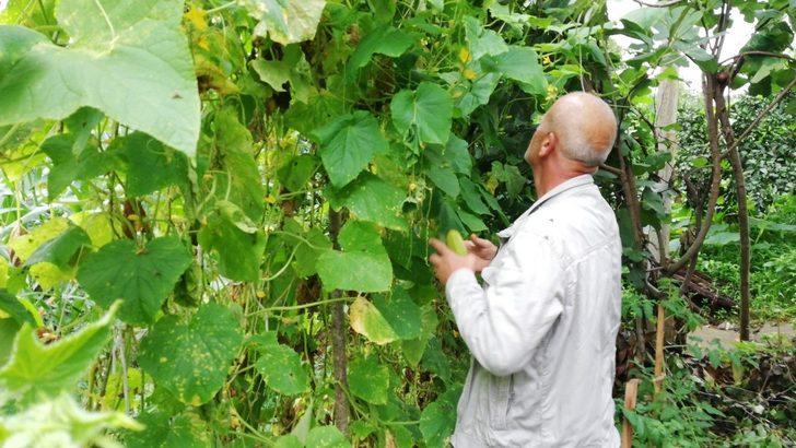 Bir şehrin kabusu olmuştu, artık oralarda da görülüyor G4