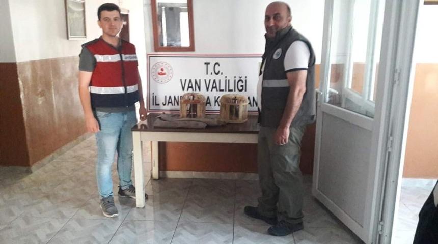 Muradiye il&ccedil;esinde ka&ccedil;ak avlanmış 2 keklik ele ge&ccedil;irlidi