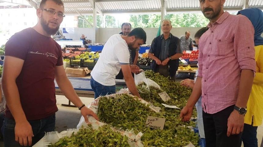 Yeni &uuml;r&uuml;n yaş fındık tezgaha indi