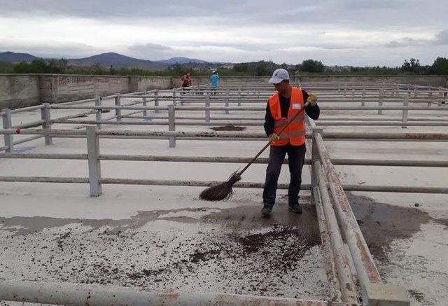 Sungurlu’da kurban bayramı hazırlıkları başladı