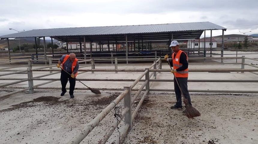 Sungurlu’da kurban bayramı hazırlıkları başladı