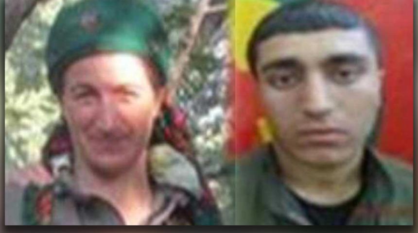 Son dakika: Bingöl'de mavi ve gri kategorideki iki terörist etkisiz hale getirildi