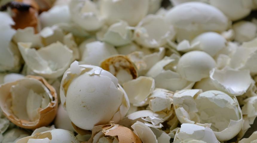 Yumurta kabuklarını ve kahveyi karıştırın, bahçedeki çiçekleri coşturun!