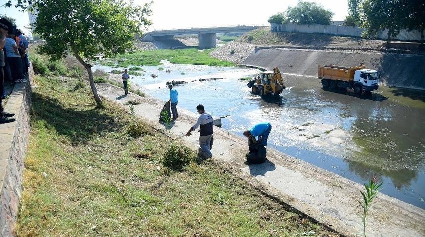 Sarı&ccedil;am Deresi&rsquo;nde hummalı temizlik &ccedil;alışması