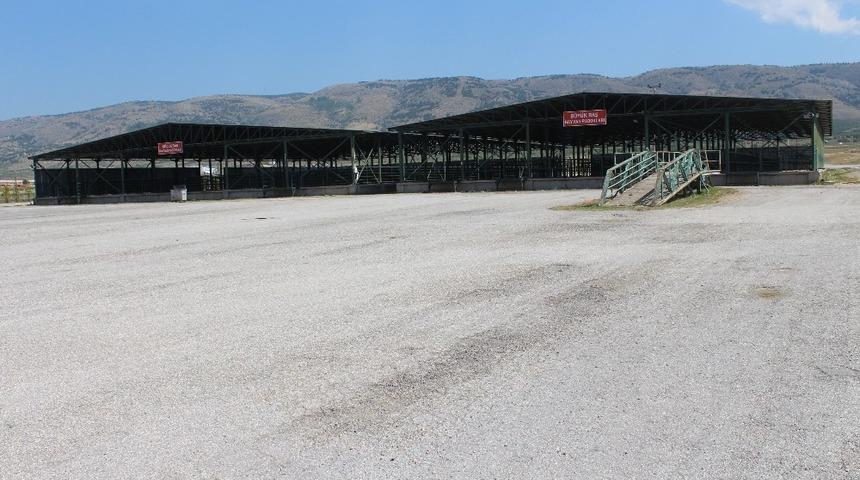 Kurban pazarı 27 Temmuz&rsquo;da a&ccedil;ılıyor