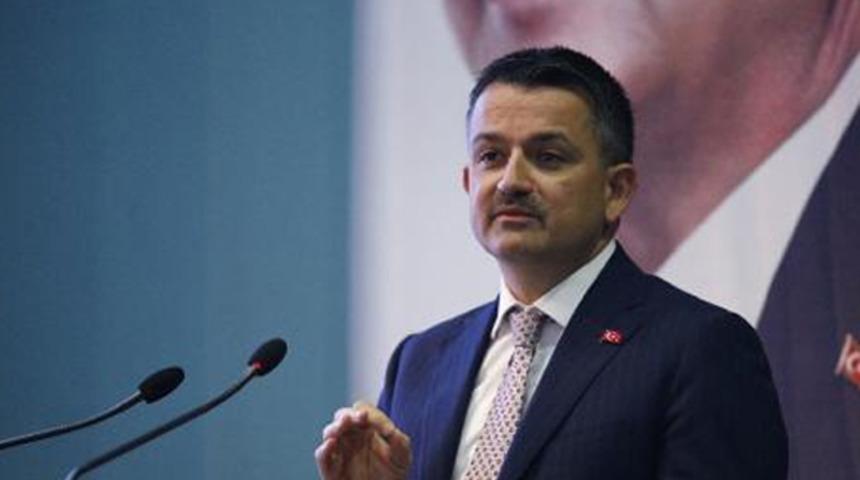 Bakan Pakdemirli'den İspanya'dan Türkiye'ye getirilen hayvanlarla ilgili açıklama