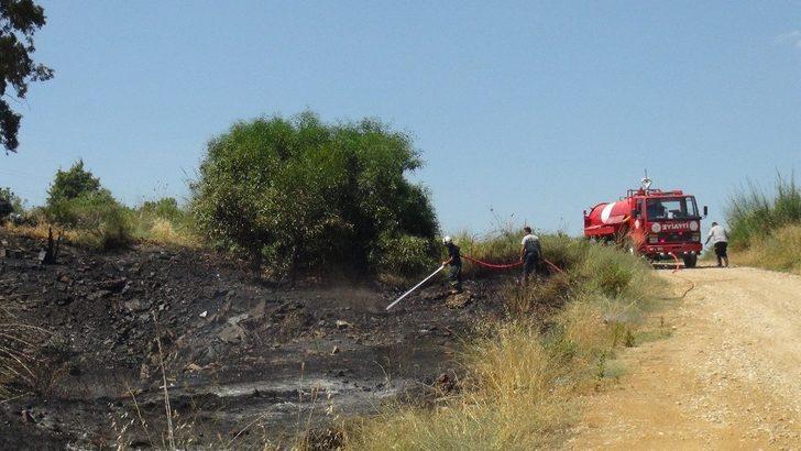 Manavgat’ta ot çalı yangını korkuttu G1