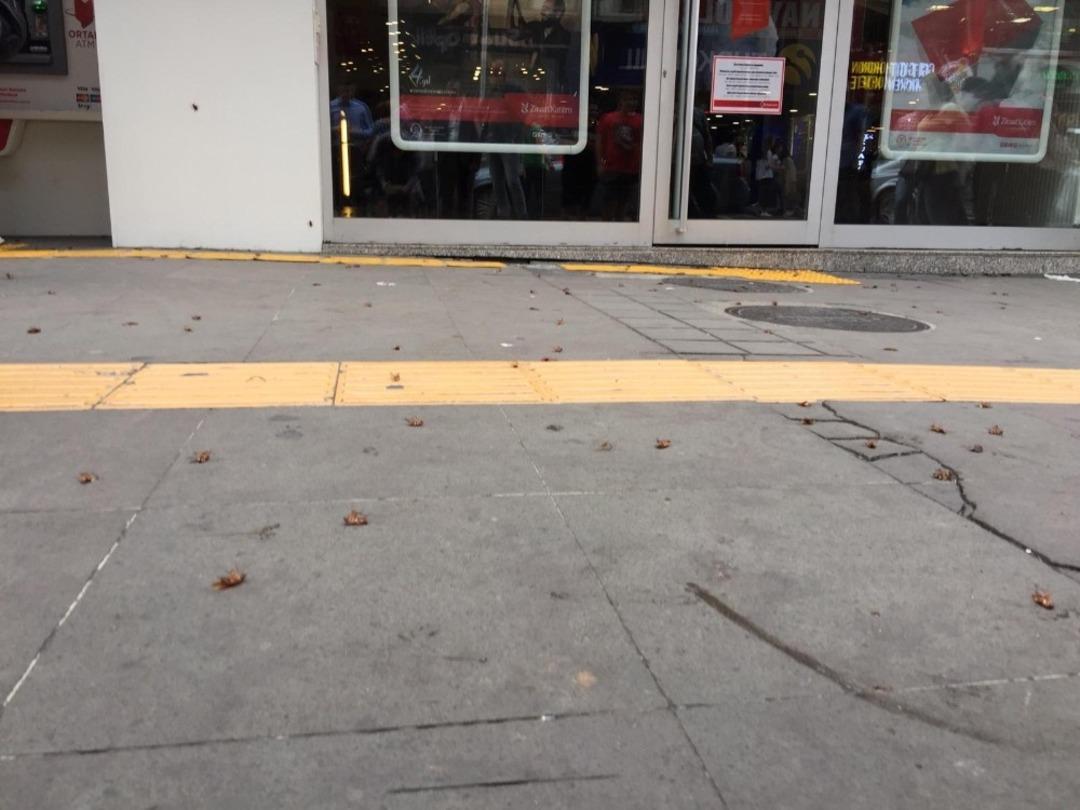 Trabzon&rsquo;un en işlek caddesini &rsquo;Kakalaklar&rsquo; bastı