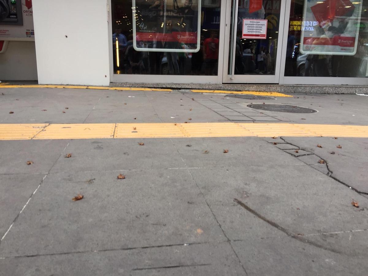 Trabzon'un en işlek caddesini 'Kakalaklar' bastı! Tehlike sa&ccedil;ıyor