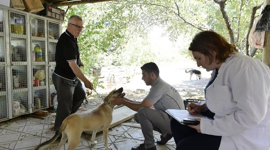 Can dostlar koruma altında