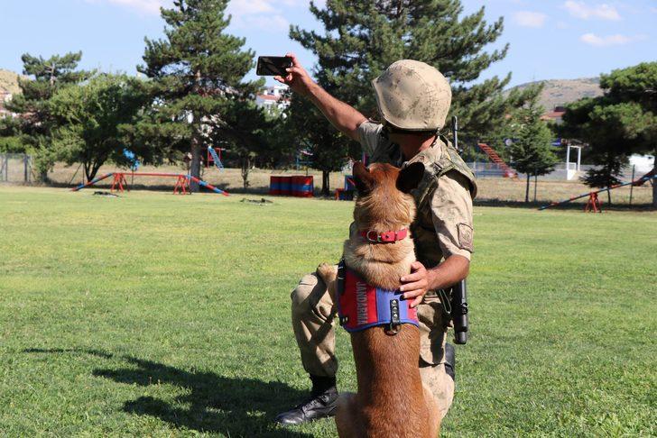 JAKEM'deki özel eğitimli köpekler selfie çektiriyor, kalp masajı yapıyor G3