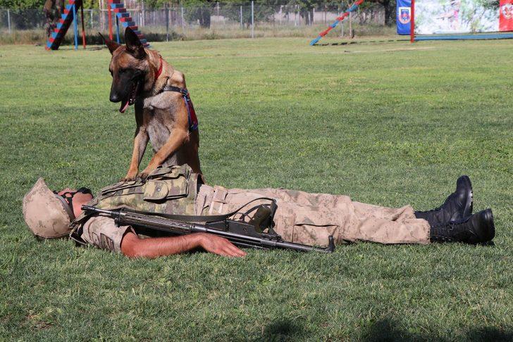 JAKEM'deki özel eğitimli köpekler selfie çektiriyor, kalp masajı yapıyor G4