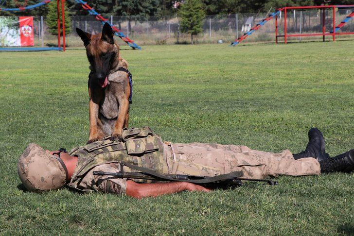 JAKEM'deki özel eğitimli köpekler selfie çektiriyor, kalp masajı yapıyor G5
