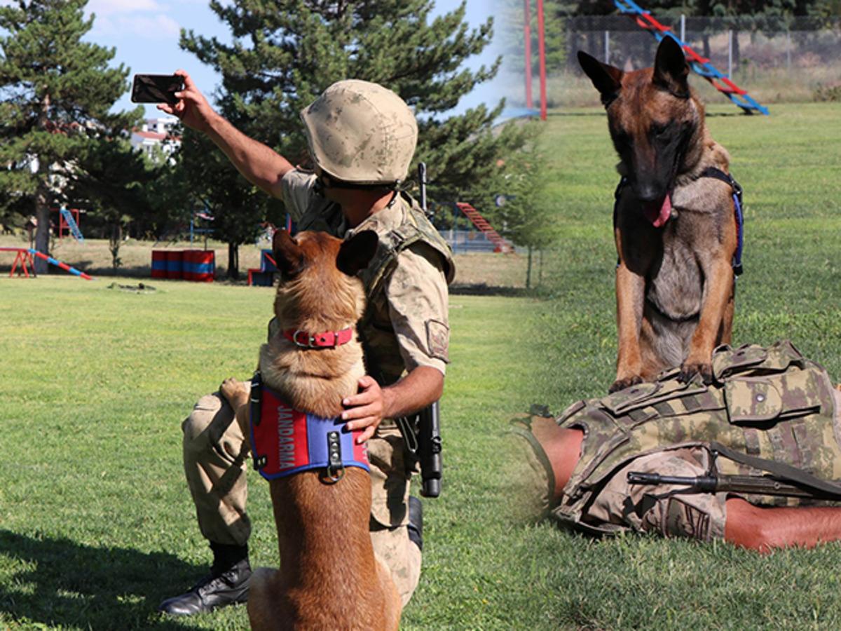 JAKEM'deki &ouml;zel eğitimli k&ouml;pekler selfie &ccedil;ektiriyor, kalp masajı yapıyor