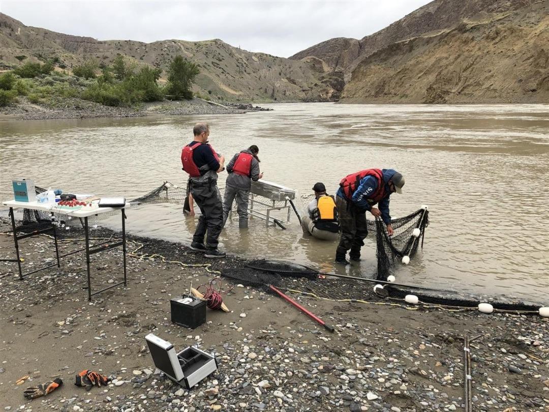 Kanada&rsquo;da heyelan mağduru somonlar helikopterle kurtarılacak