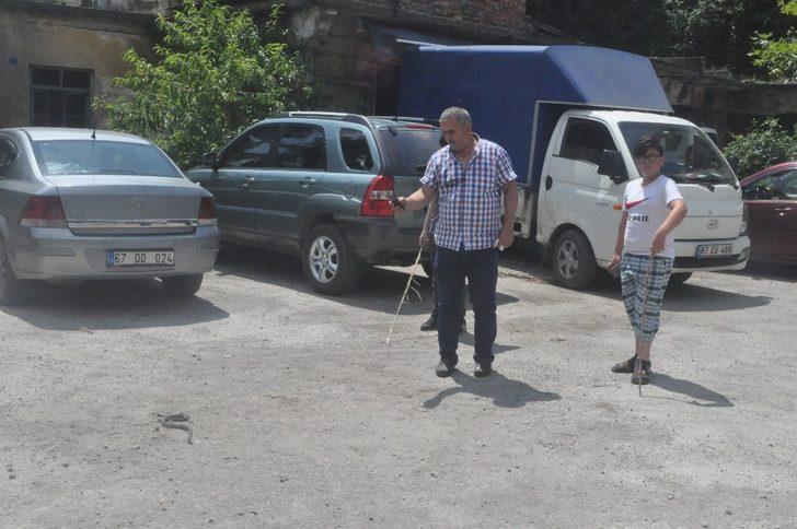 Mahalle arasında ortaya çıkan 3 metrelik su yılanı dereye bırakıldı G2