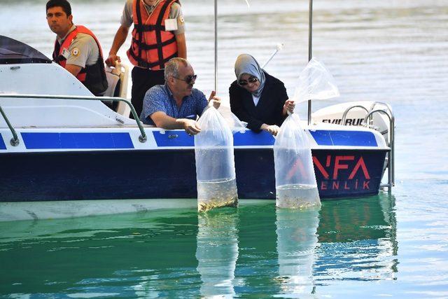 Ankara Büyükşehir Belediyesi, göl ve göletlerde balıklandırma çalışmalarını tamamladı
