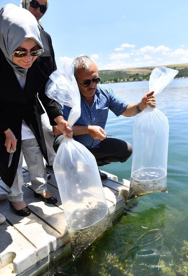 Ankara Büyükşehir Belediyesi, göl ve göletlerde balıklandırma çalışmalarını tamamladı