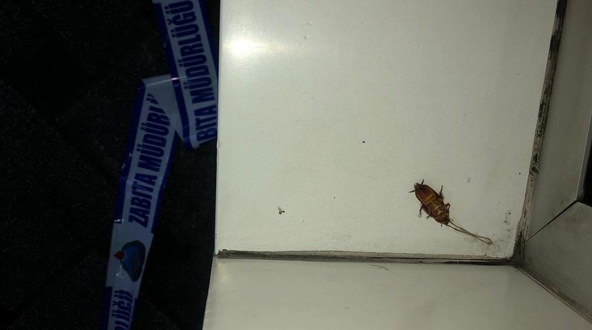 Caddeyi 'kakalak' b&ouml;ceği sardı, ekipler ila&ccedil;lama yaptı