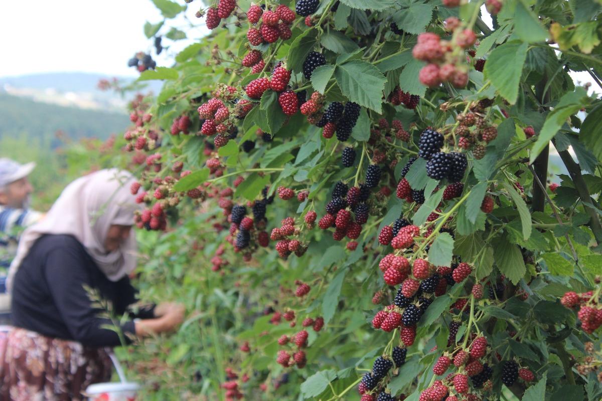  30 yıldır &uuml;retip satıyor 