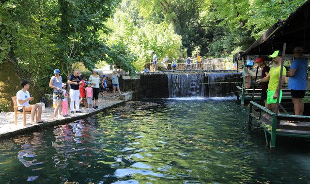 Şelale suyunda alabalık avı