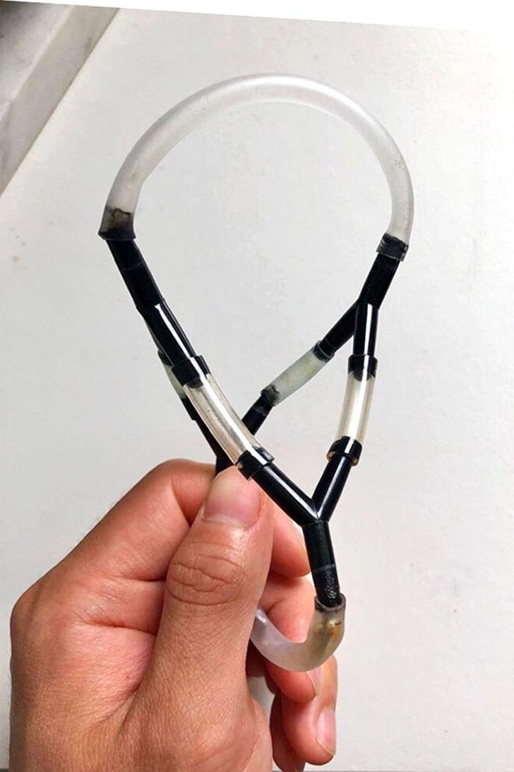 Balığı ölmesin diye yaptığı şey gündem oldu! G1