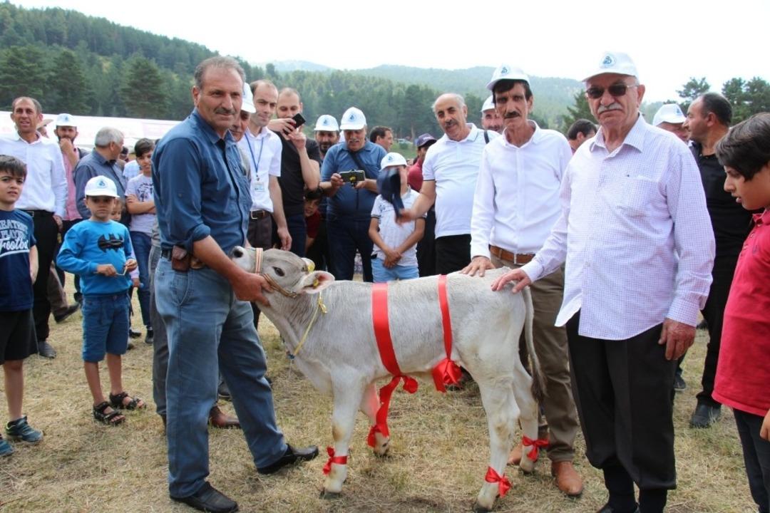 Kırdağ&rsquo;da buzağı ve Kuzu yarışması renkli g&ouml;r&uuml;nt&uuml;lere sahne oldu