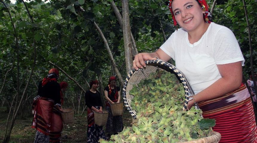 Fındık &uuml;reticisi hasat &ouml;ncesi fiyat a&ccedil;ıklanmasını bekliyor