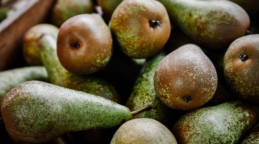 İştah kontrolü sağlayan armut zayıflamaya yardımcı oluyor