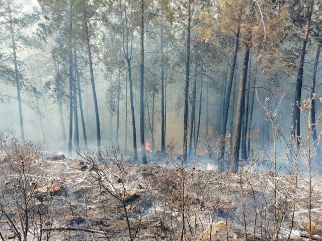 Kumluca’daki orman yangını söndürüldü