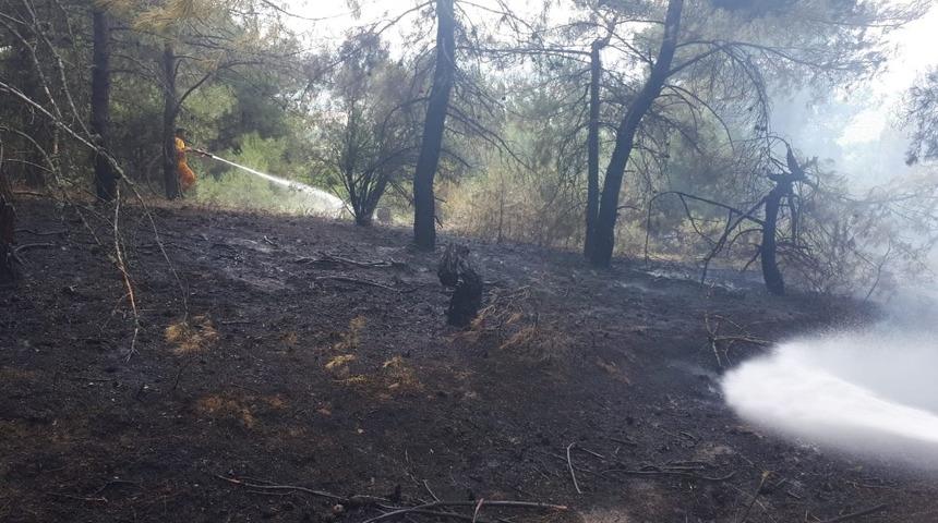Ormanlık alanda &ccedil;ıkan yangında 5 d&ouml;n&uuml;ml&uuml;k alan zarar g&ouml;rd&uuml;
