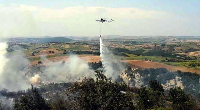 Tekirdağ’da orman yangını