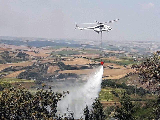 Tekirdağ’da orman yangını