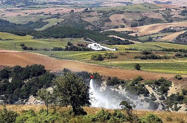 Tekirdağ’da orman yangını