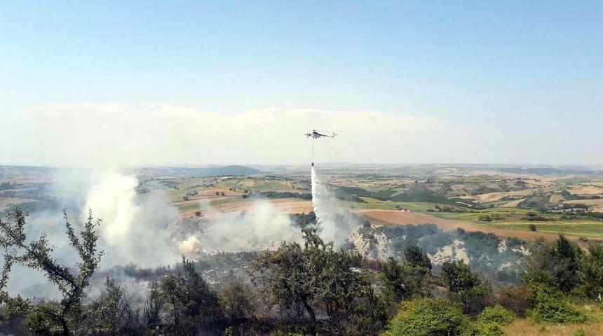 Tekirdağ’da orman yangını
