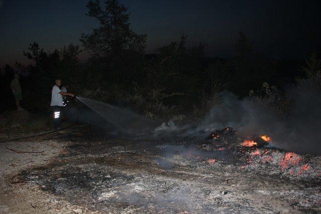 Anında müdahale ormanı yanmaktan kurtardı