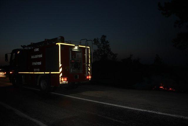 Anında müdahale ormanı yanmaktan kurtardı