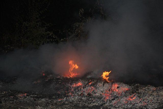 Anında müdahale ormanı yanmaktan kurtardı