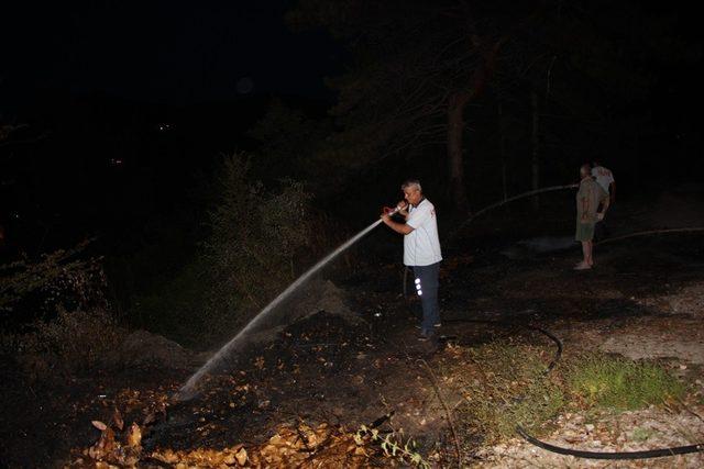 Anında müdahale ormanı yanmaktan kurtardı