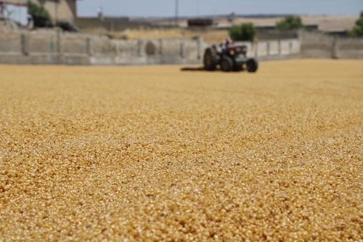 Tadını güneşten alan lezzet: Bulgur G3