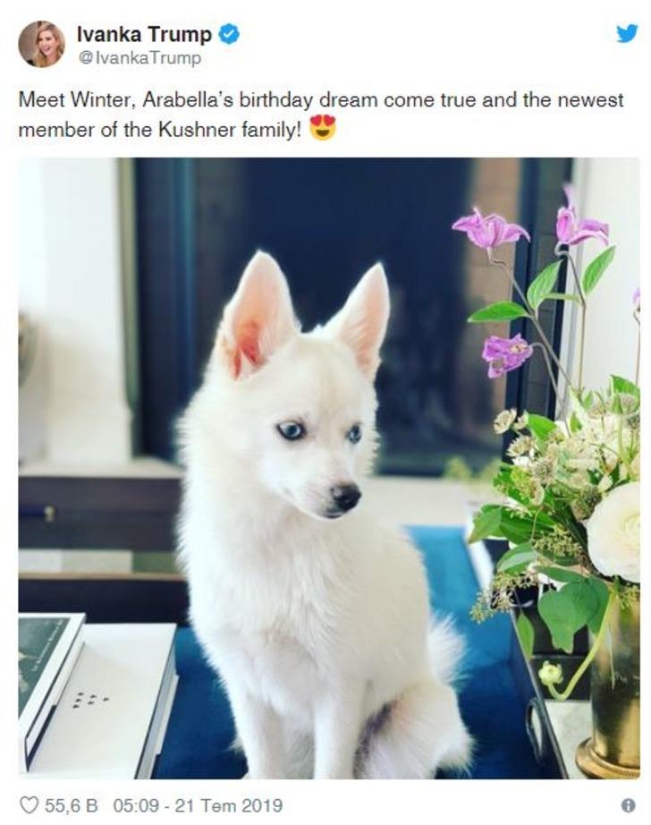 Trump'ın kızı köpeğinin resmini paylaştı, ortalık karıştı! G3