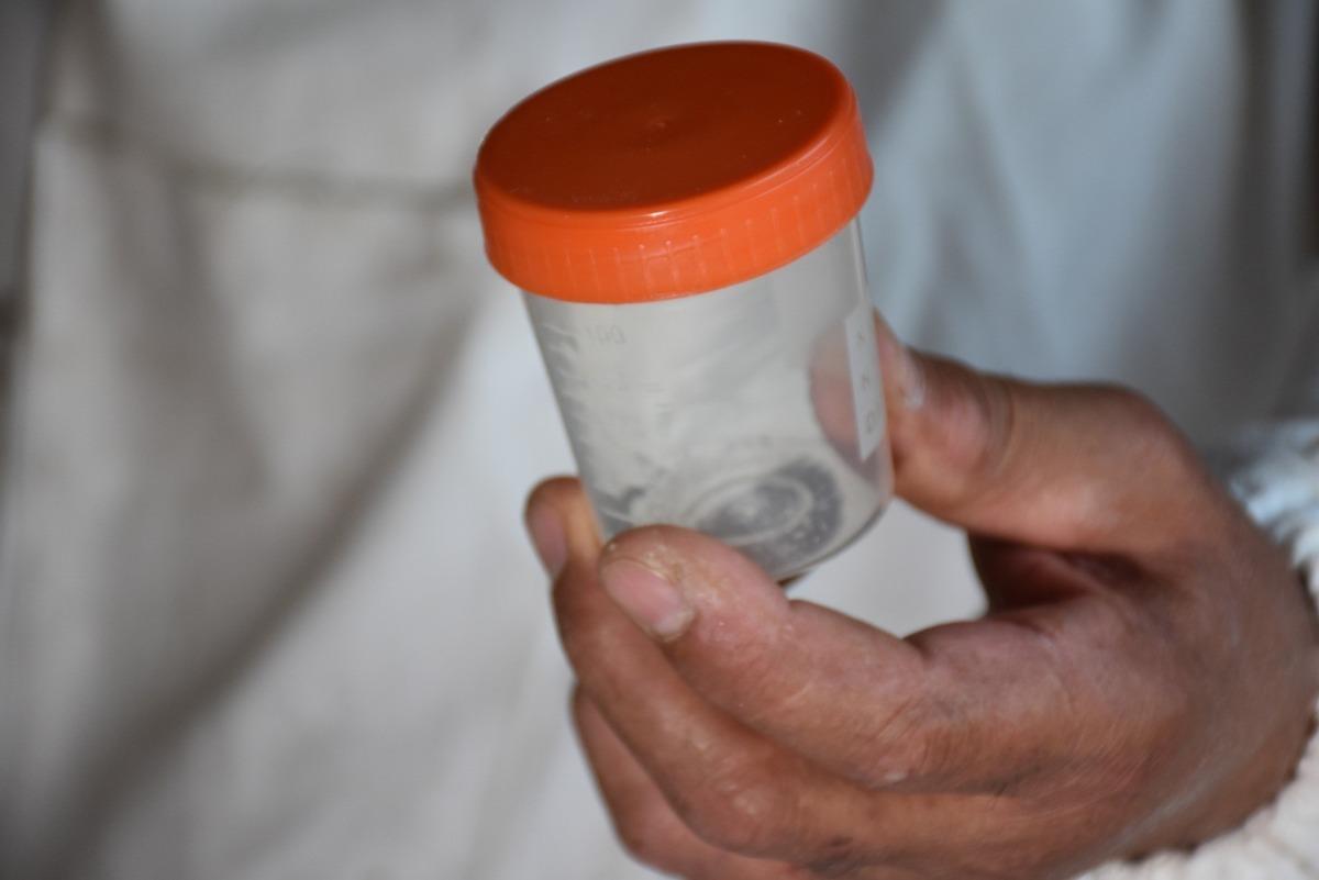 Arı zehrinin kilosu 500 bin T&uuml;rk Lirası 