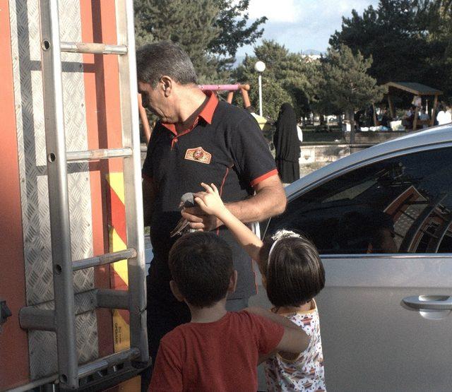 İtfaiye ekiplerinden güvercin kurtarma operasyonu