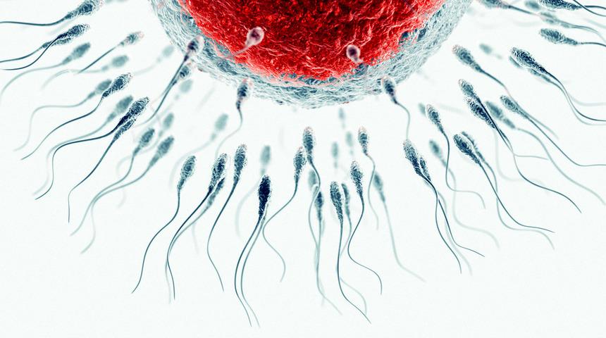 60 milyon olan sperm hücresi 15 milyona düştü! 'Çocuğum olsun' istiyorsanız...